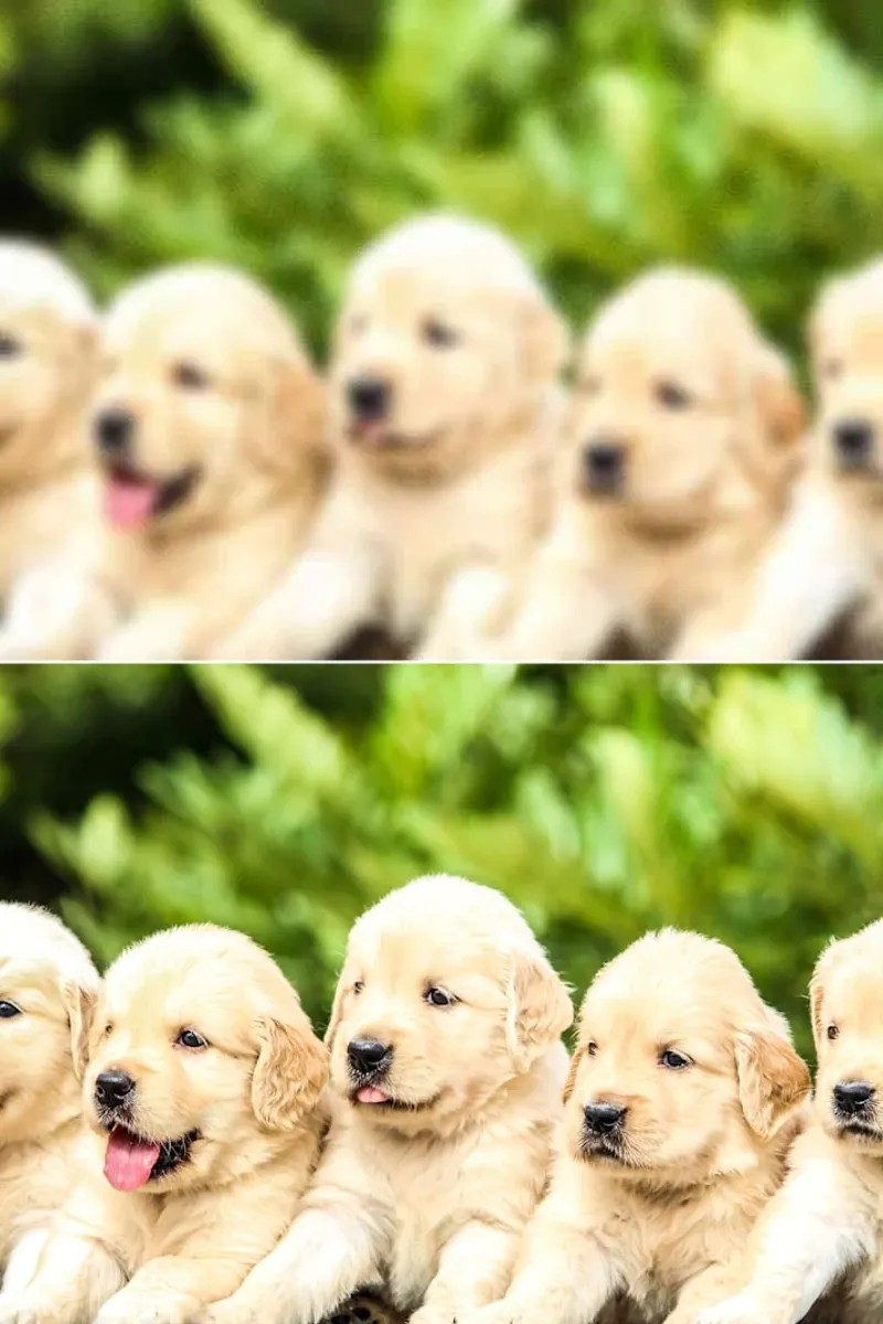 photo-enhancer
