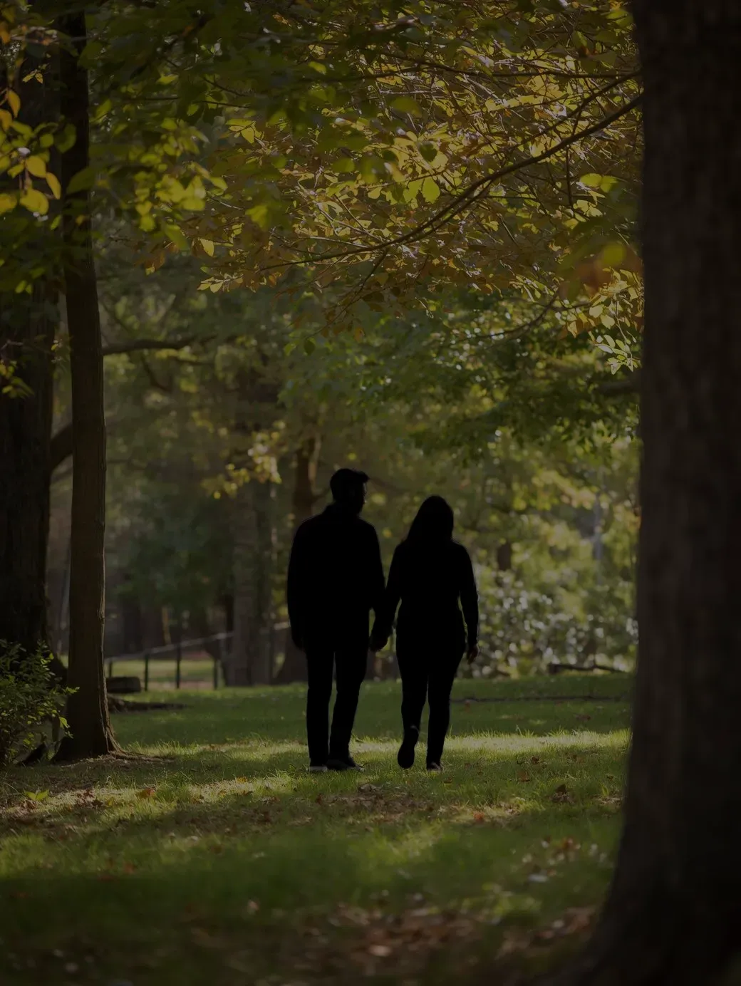 画像をシルエット化